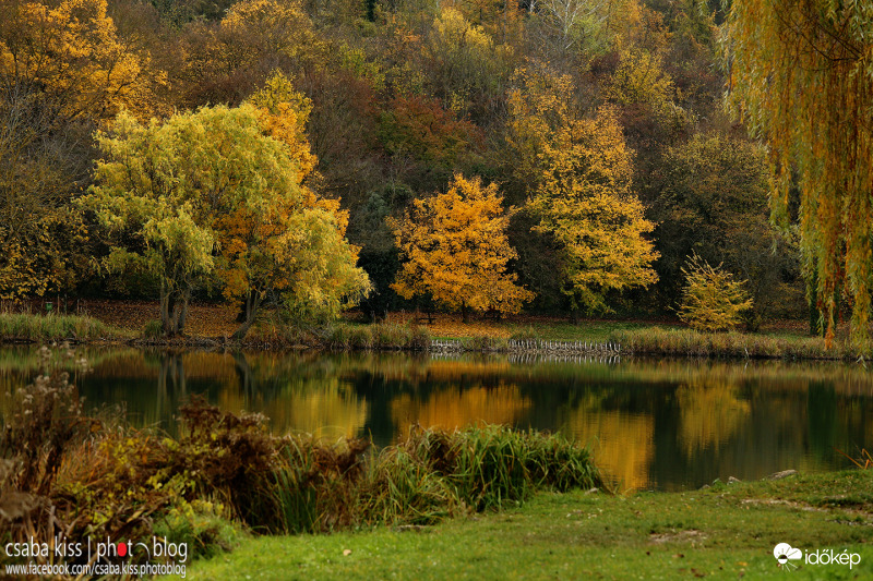 Ősz a tó partján.