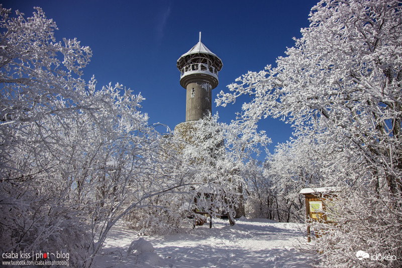 Pécs - 2018.02.25