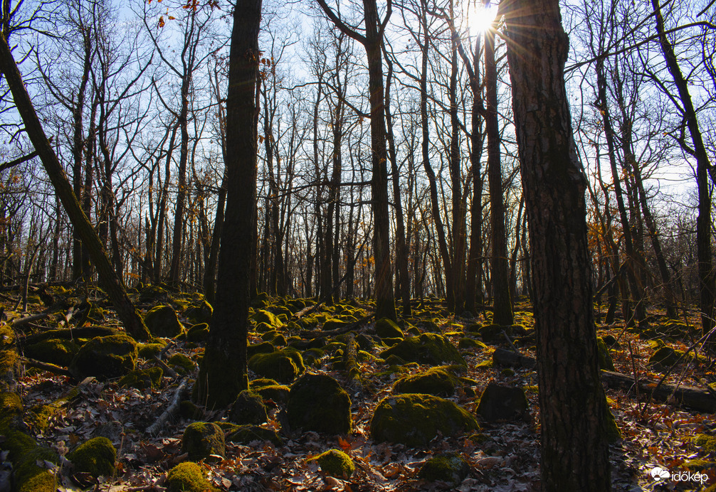 Első tavaszias napon Sástón