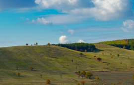 Őszi természet
