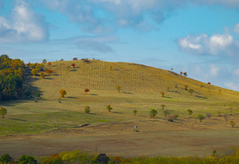 Őszi természet
