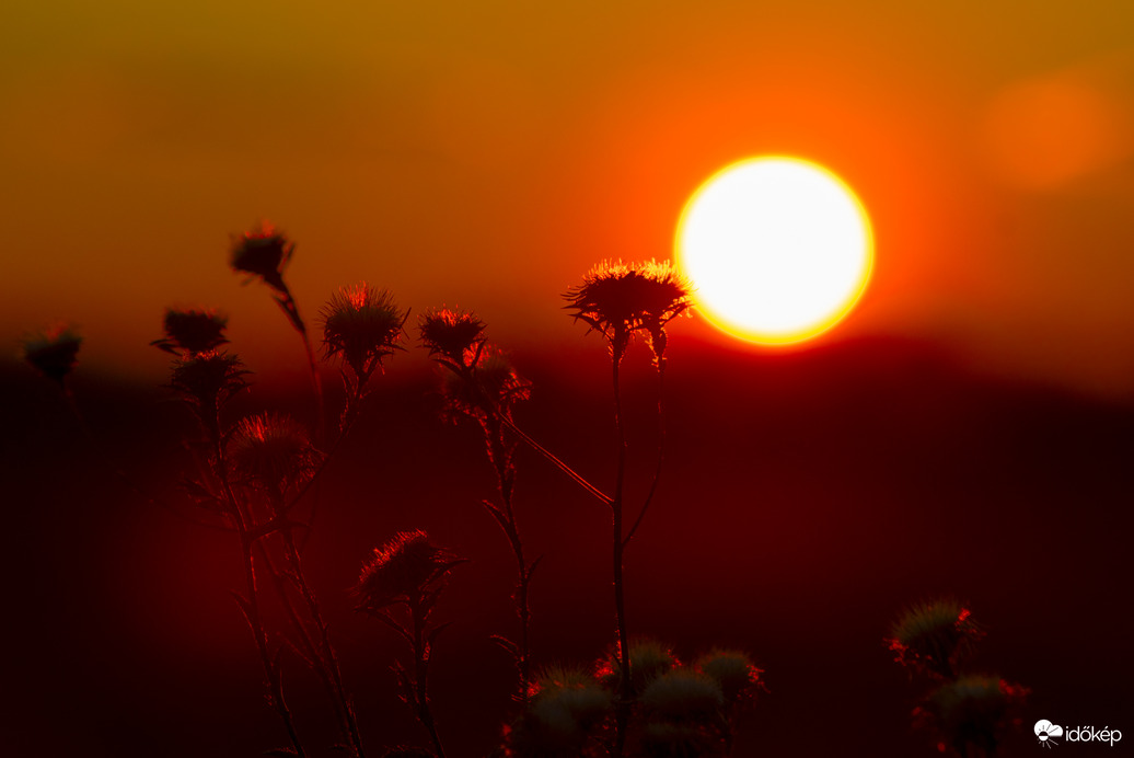 Csodálatos vörös színben pompázó naplemente