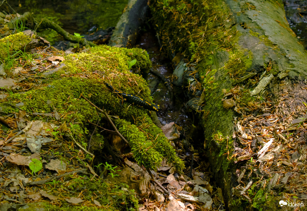 Ilona-völgyi vízesés