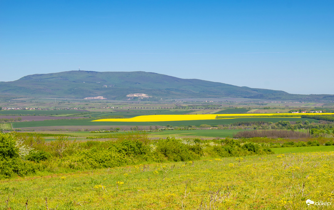 Mátra és a repce táblák