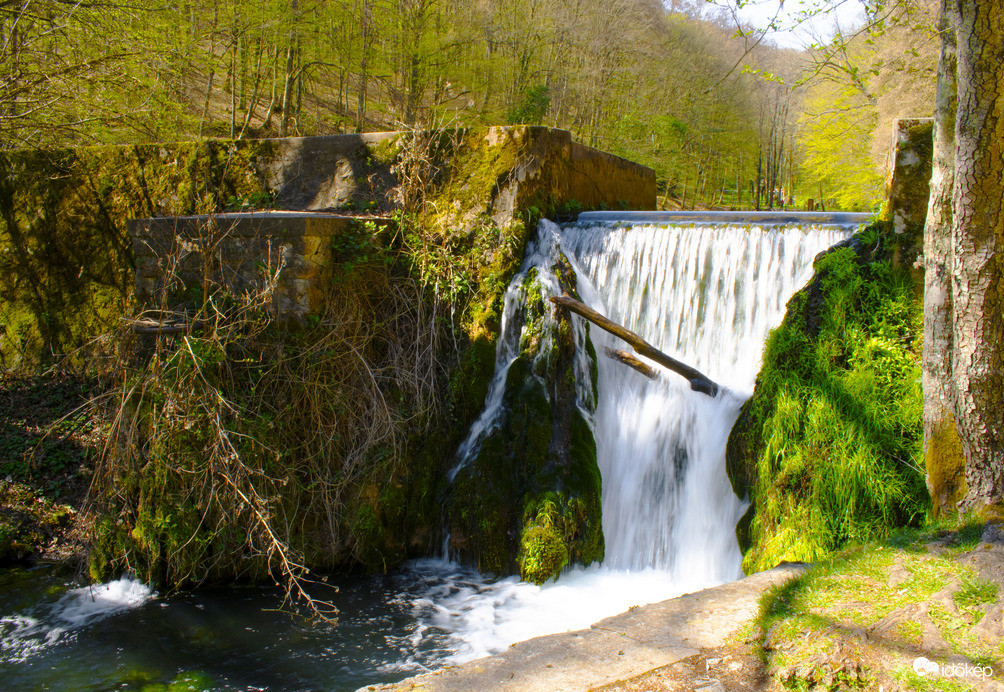 A természet színei