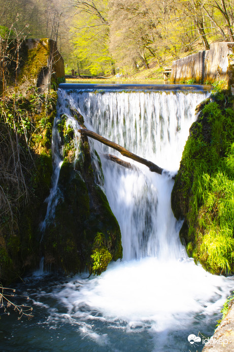 A természet színei
