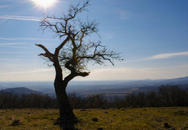 Napsütéses Eremény-tető