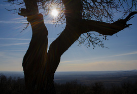Napsütéses Eremény-tető