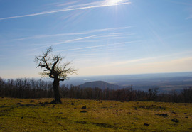 Napsütéses Eremény-tető