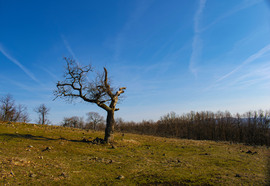 Napsütéses Eremény-tető