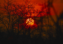 Napfelkelte varázsa