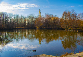 Kacsa a tükörsima vízen