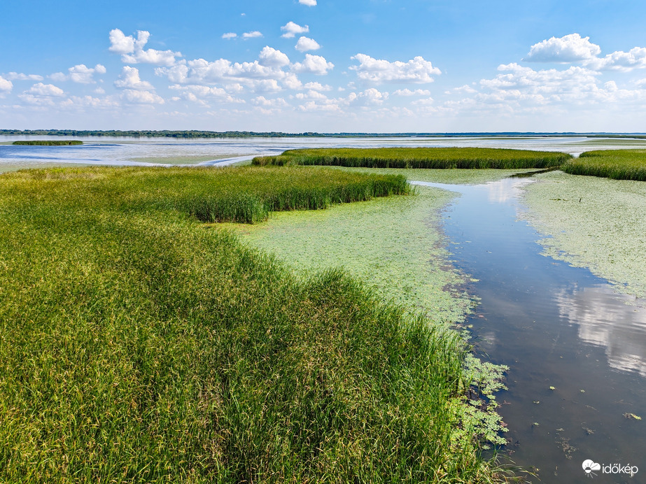 A Tisza-tó természeti kincsei