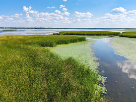 A Tisza-tó természeti kincsei