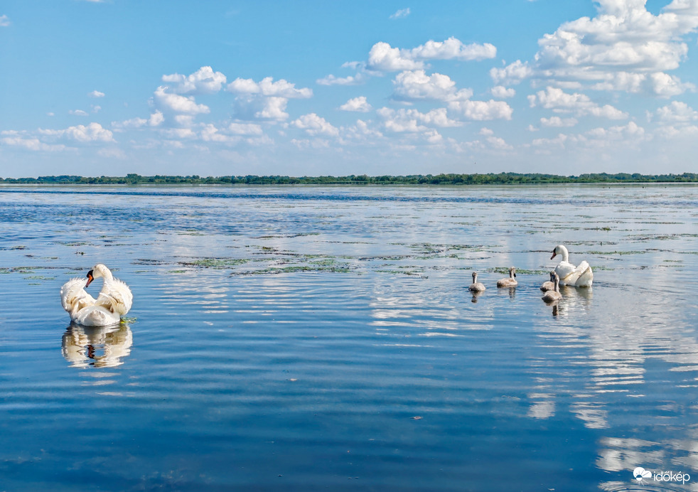 A Tisza-tó természeti kincsei
