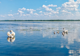 A Tisza-tó természeti kincsei