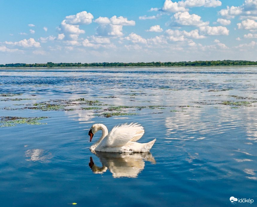 A Tisza-tó természeti kincsei