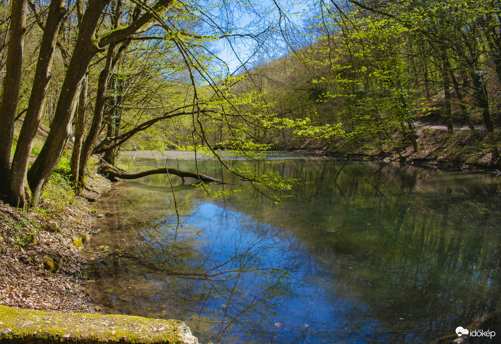 A természet színei