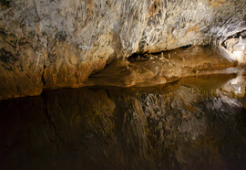 A barlang tükrében