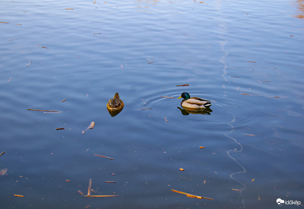 Első tavaszias napon Sástón