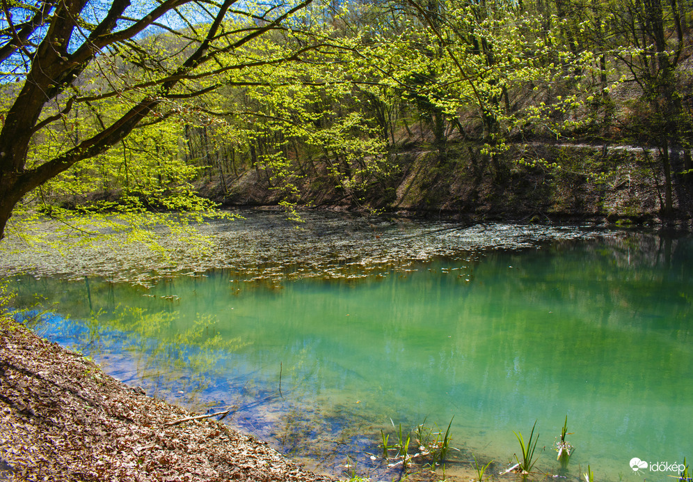 A természet színei