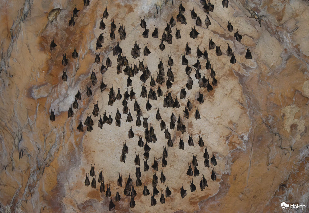 A barlang tükrében