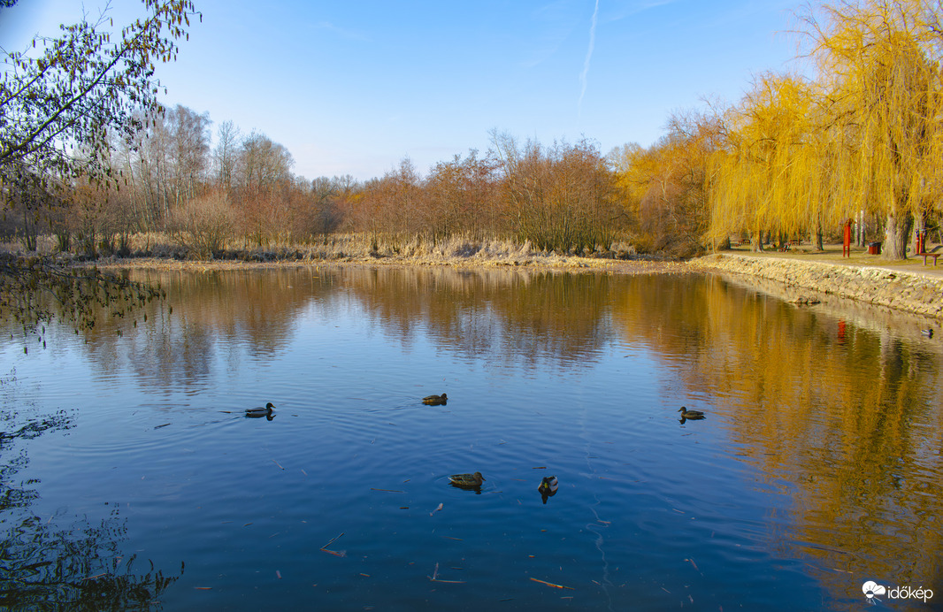 Első tavaszias napon Sástón