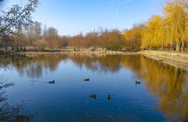 Első tavaszias napon Sástón