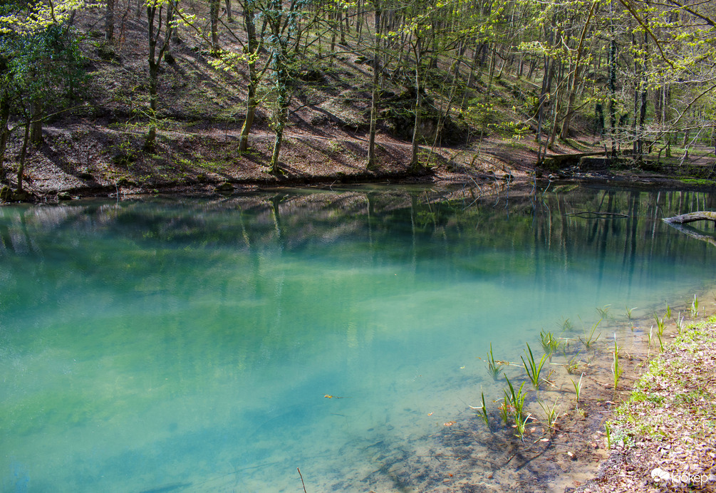 A természet színei