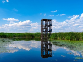 A Tisza-tó természeti kincsei