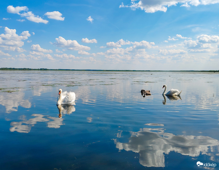A Tisza-tó természeti kincsei