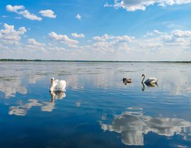 A Tisza-tó természeti kincsei