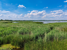 A Tisza-tó természeti kincsei