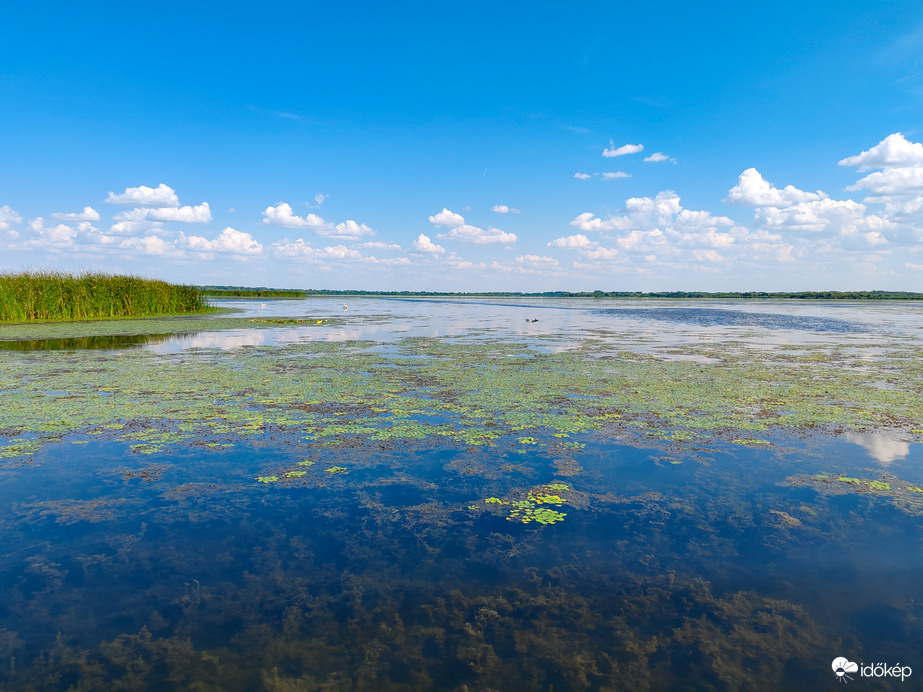 A Tisza-tó természeti kincsei