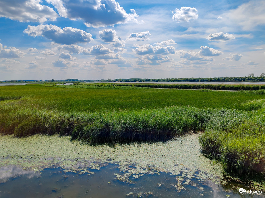 A Tisza-tó természeti kincsei