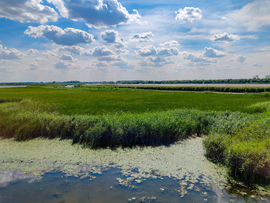 A Tisza-tó természeti kincsei