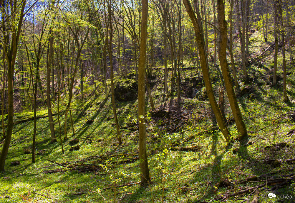 A természet színei