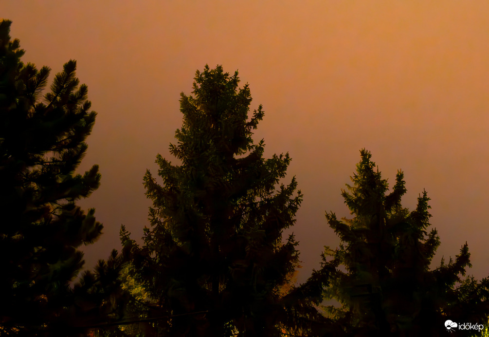 Sarki fény a ködben