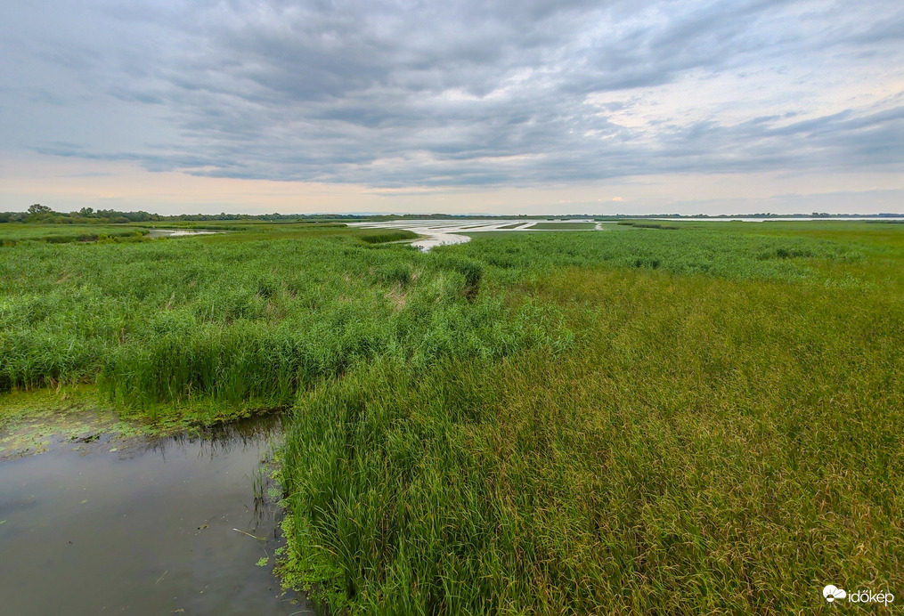 Tisza-tó