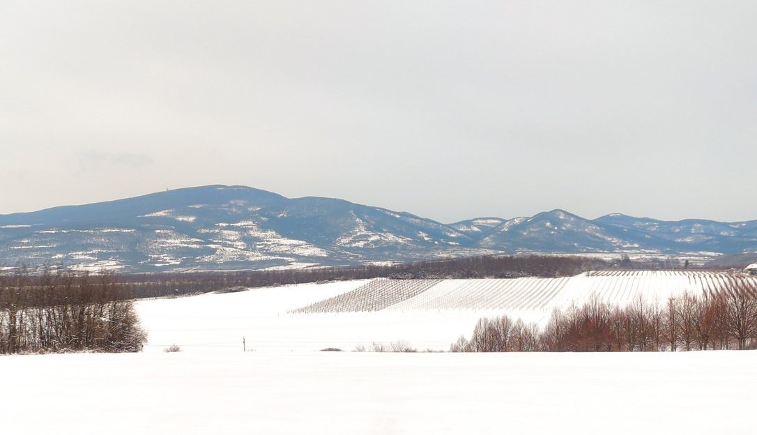Téli panoráma 