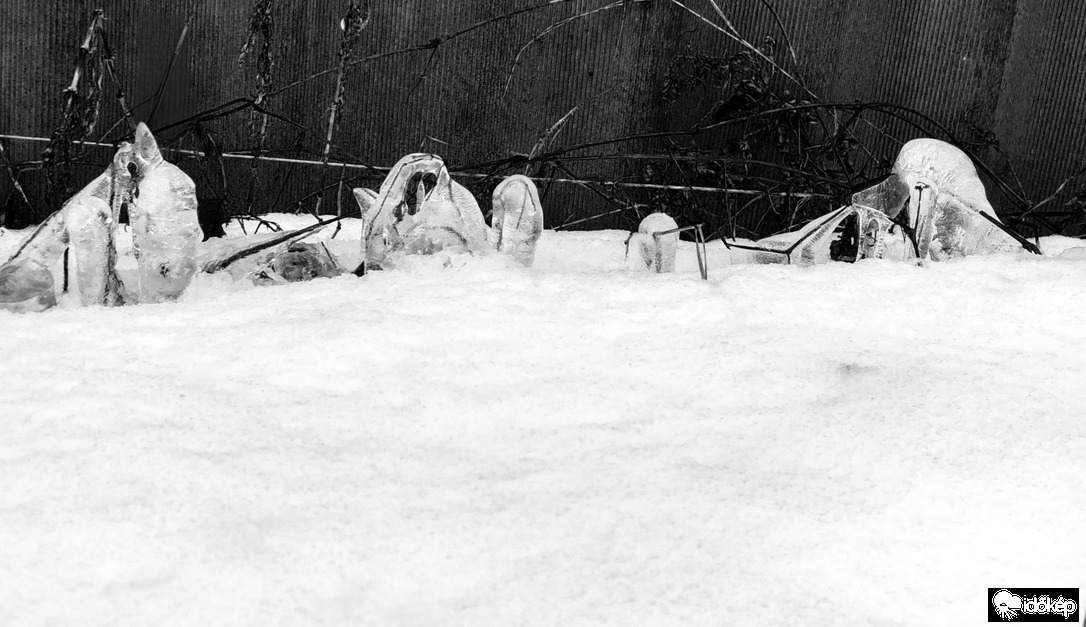 Megfagyott pillanatok