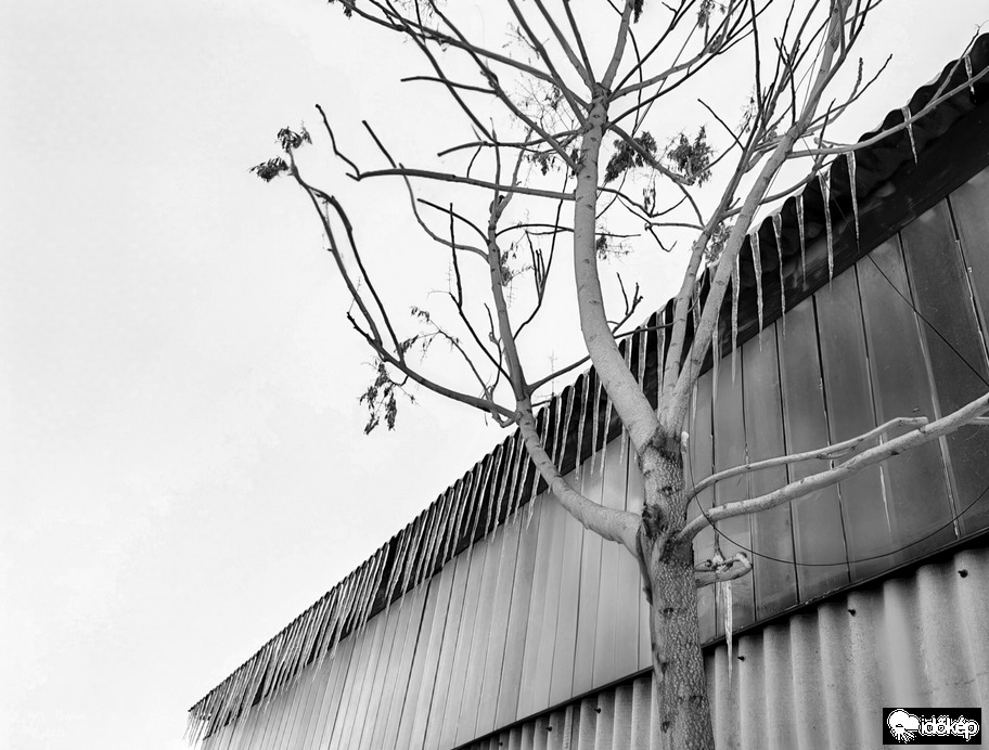 Megfagyott pillanatok