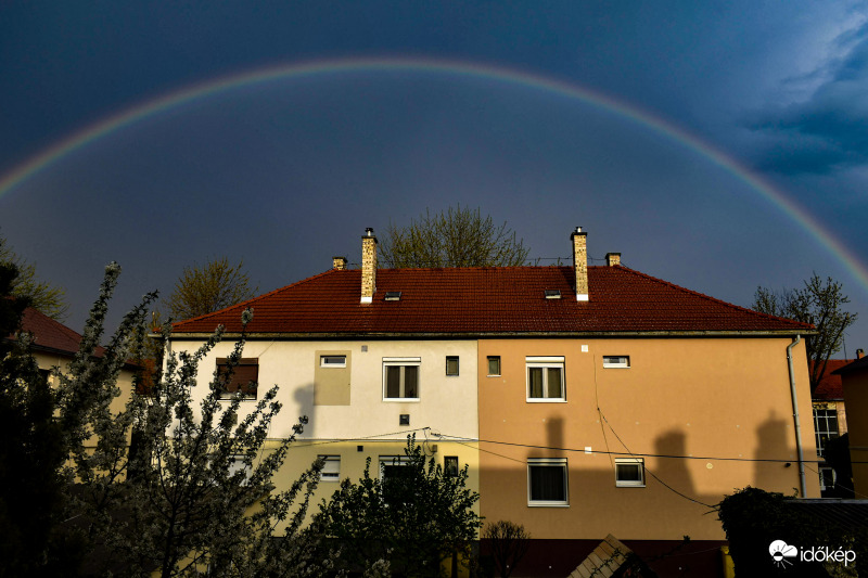 Eső utáni csoda