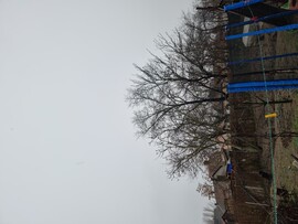 Zsombó