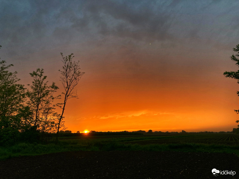 Eső utáni szépség :)