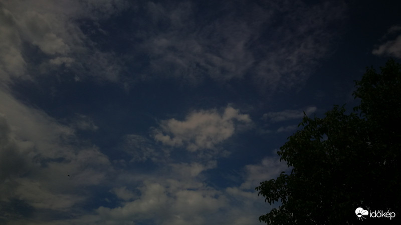 Reggeli eső után varázslat :) 