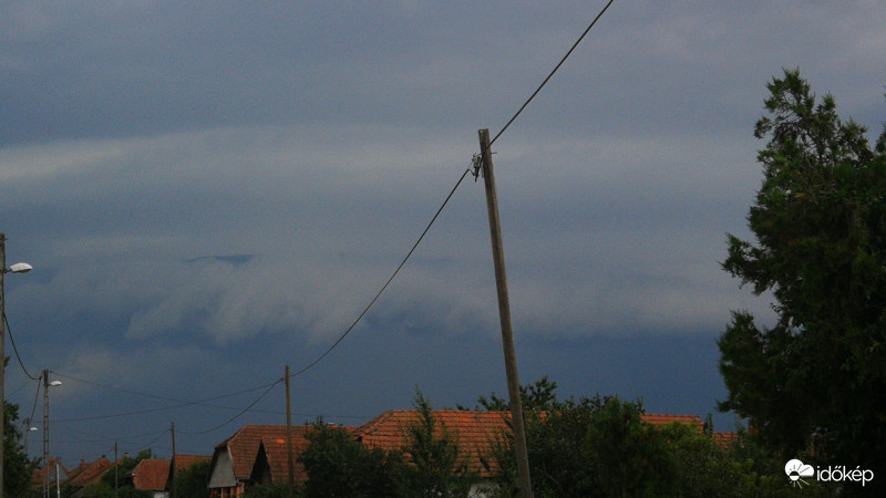 Brutális... szörnyeteg.... 