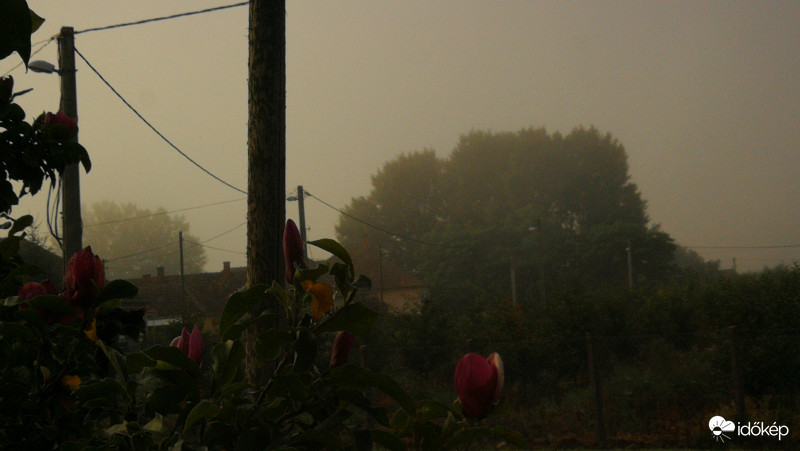 Párás reggel :) 