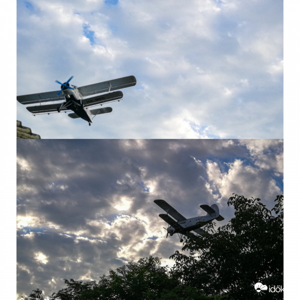 Szúnyoggyérítés :D