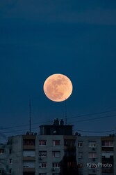 Hold a panelek felett